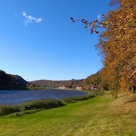 Ferienwohnung An Der Elbe Stadt Wehlen Eksteriør billede