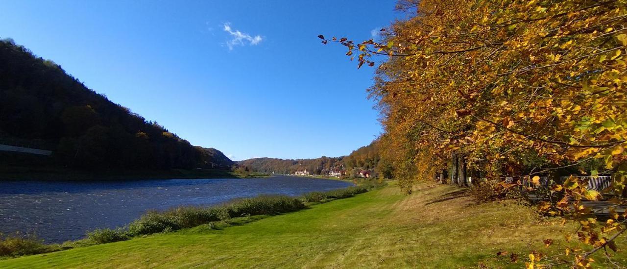 Ferienwohnung An Der Elbe Stadt Wehlen Eksteriør billede